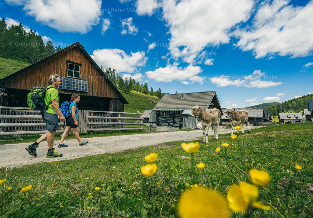 Wandern_Karnische_Milchstrasse_2020-212 | piet_flosse