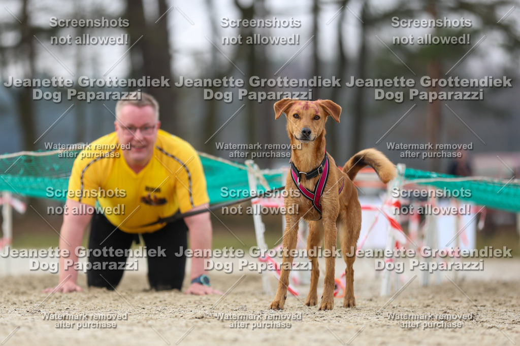 Dog Paparazzi - Strongdog North Mrz26-4499 | Dog Paparazzi Jeanette Grottendiek Fotografie & Videografie - Realisiert mit Pictrs.com