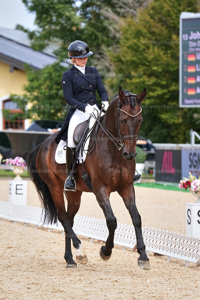 11-066-Dressur S___-Marixx-1655 | working equitationturnier fotograf videograf stoibphotography marixx film working equitation deutschland reitsport turnierfotografie eventfotografie equestrian events