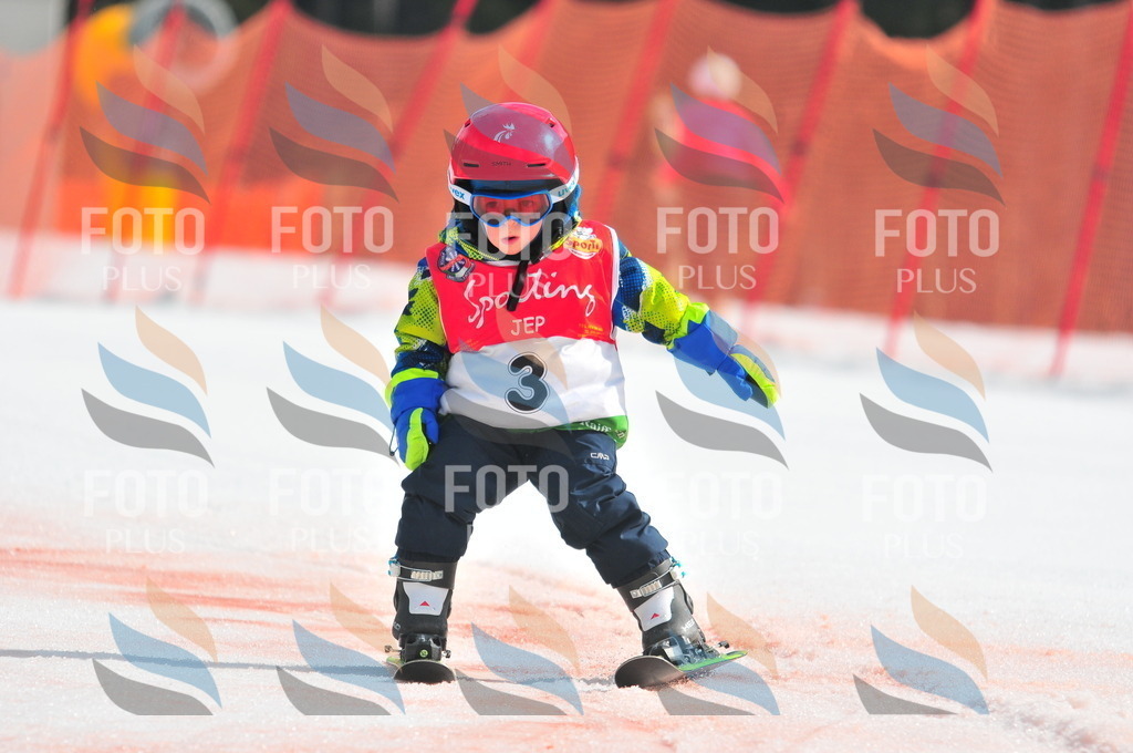 C0802 | holidayphoto