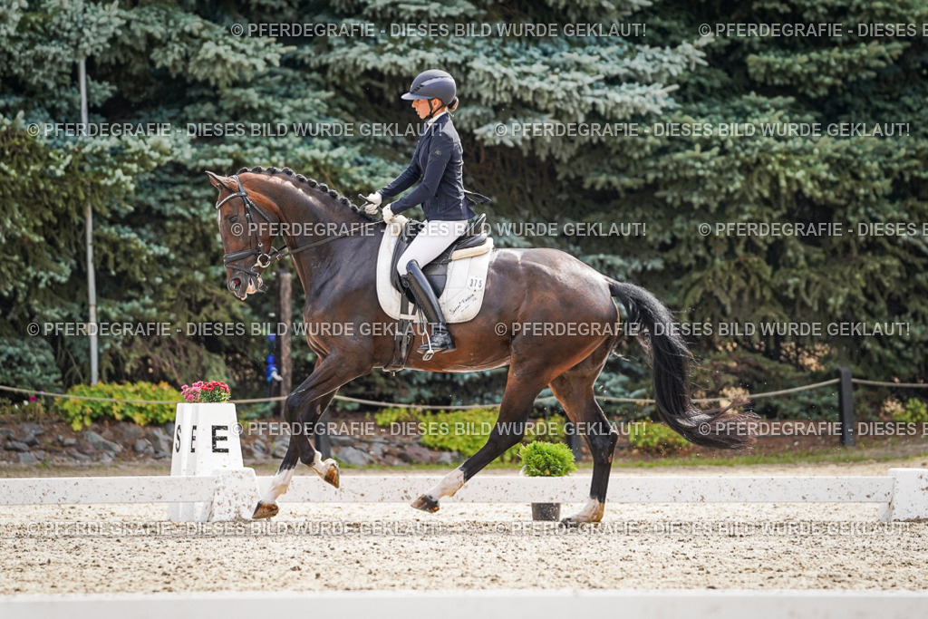 DSC07751 | Pferdegrafie