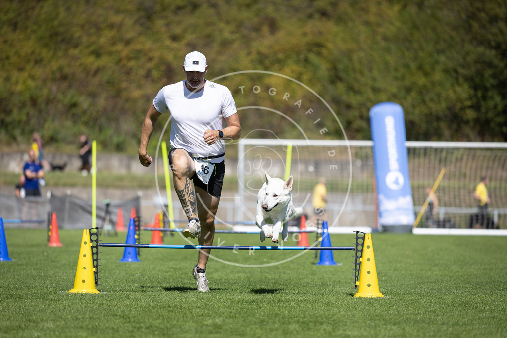 Pfotenfotografie_DV3A6062 | Hundefotografie, Tierfotograf, Pfotenfotografie, Fotoshooting Hund, Hunde Portrait, Hundesport, Hundeportraits, Heideshooting, Hunde, Sportfotograf, Hundefotograf, Turnierhundsport, THS,  - Realisiert mit Pictrs.com