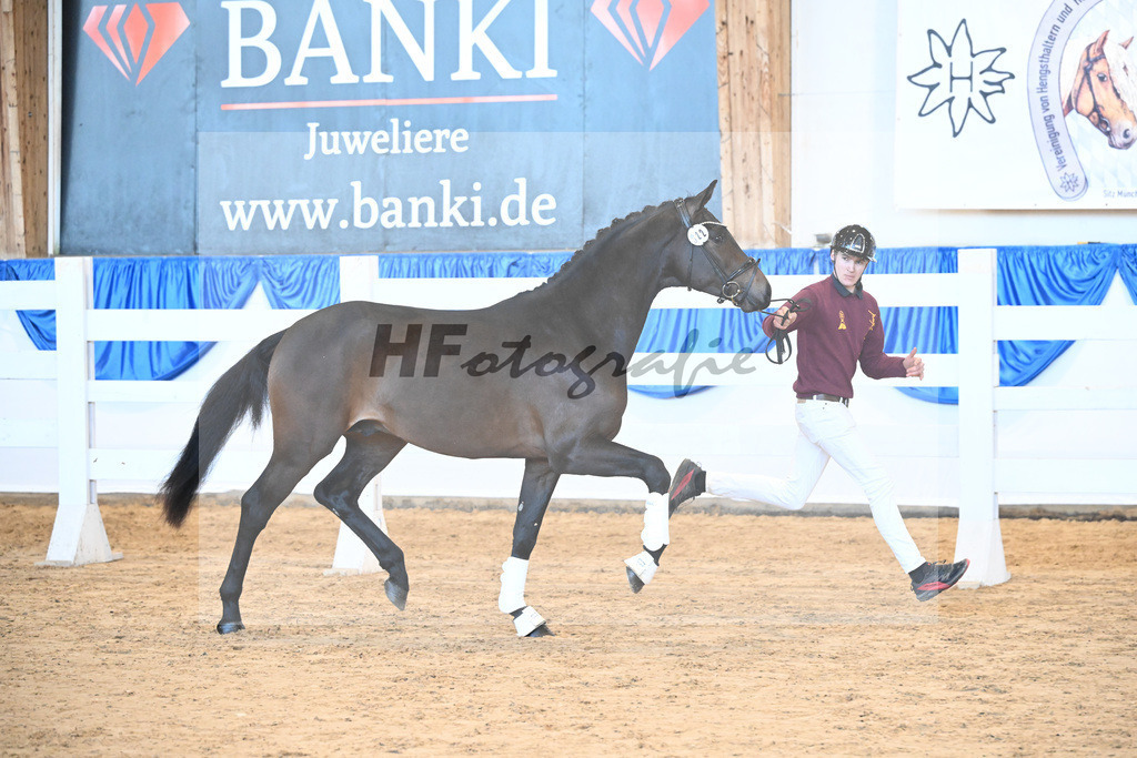 Kat-Nr. 22 Bon Amour v. Bon Courage_Reglauer_8260532 | hf-fotografie - Realizzato con Pictrs.com