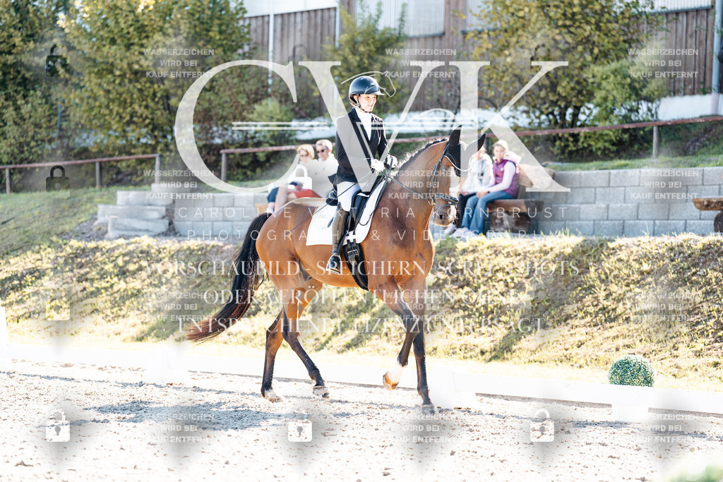 CK908655 | Turnierfotografie Pferdefotografie Trier Rheinland-Pfalz Pferdesport Reitsport Tierfotografie Sportfotografie Pferdevideo Pferdevideografie Equestrianvideography equestrianphotography  - Realisiert mit Pictrs.com