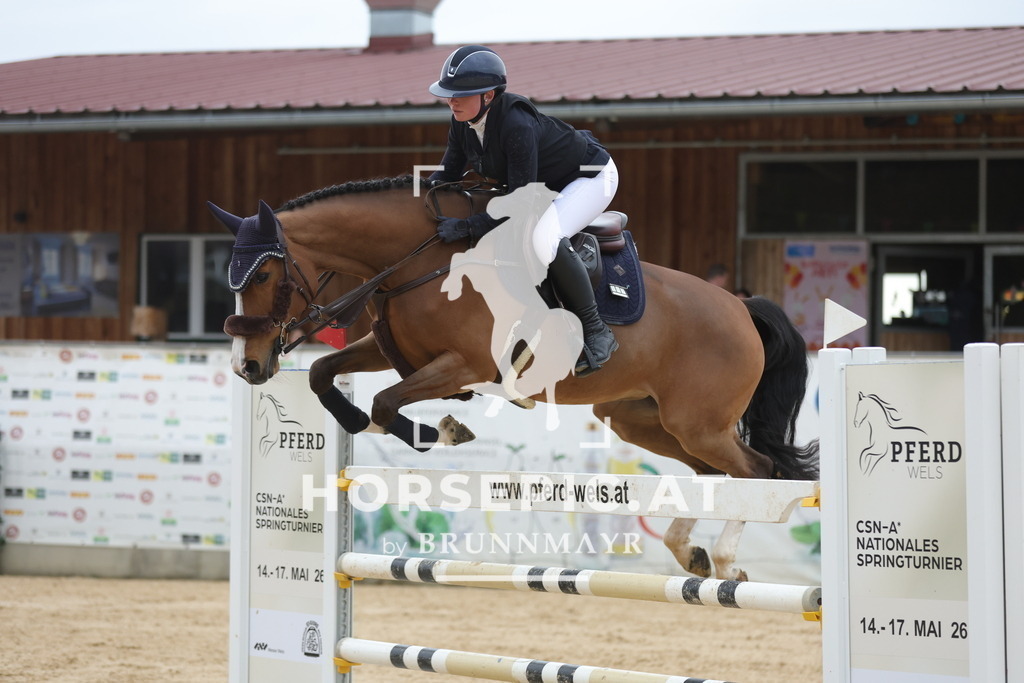 0P6A4328 | Willkommen bei Brunnmayr - Design & Fotografie – Ihrem Spezialisten für Reitturniere und Pferdeveranstaltungen in Oberösterreich, Salzburg und Bayern! Seit über 17 Jahren sind wir leidenschaftlich dabei.