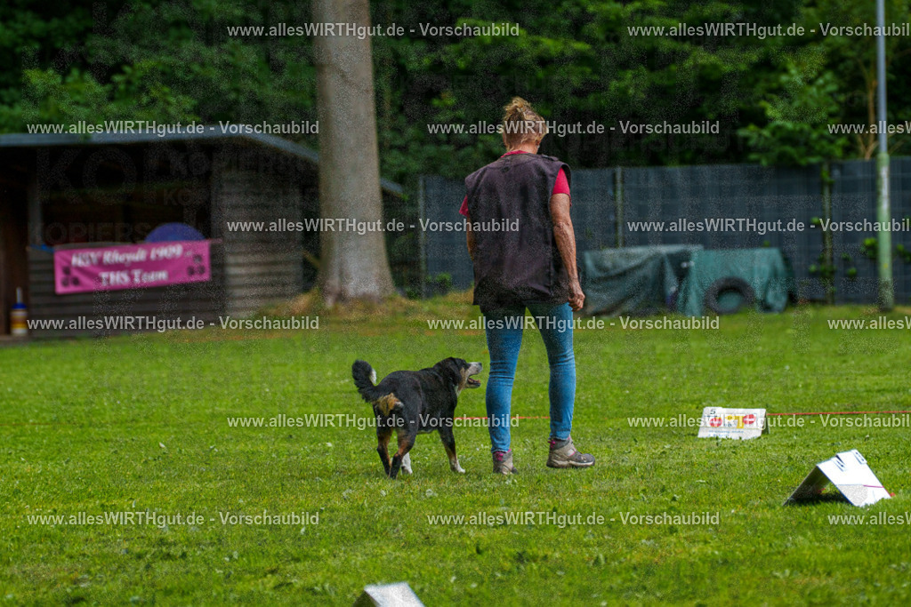 @allesWIRTHgut_Tierfotografie - www.allesWIRTHgut.de - 7R503377 | Professionelle Tierfotografie in Mönchengladbach von Daniel Wirth (allesWIRTHgut). Liebevolle & natürliche Bilder von Hunden & Katzen für unvergessliche Erinnerungen.