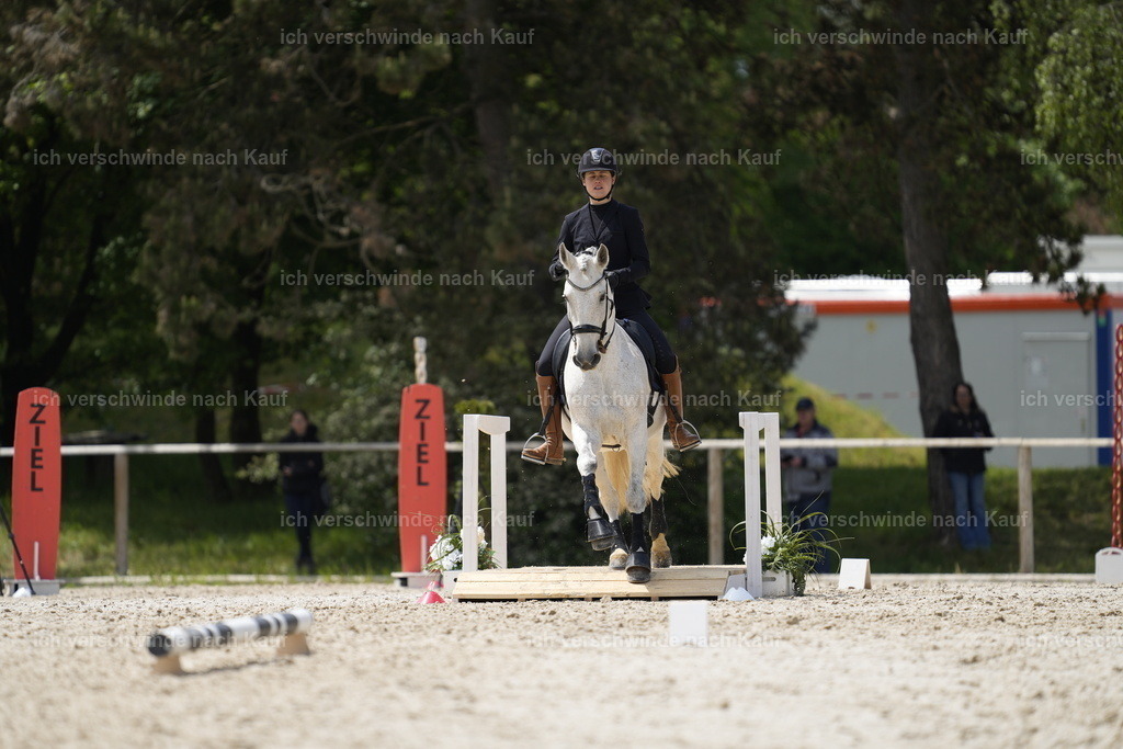 PI26_SP_Stoibphotography_A748917.JPG | working equitationturnier fotograf videograf stoibphotography marixx film working equitation deutschland reitsport turnierfotografie eventfotografie equestrian events