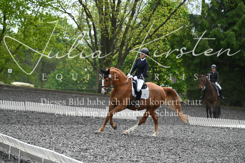 20230512_JK-Röhrsdorf-07-056 | Pferde- und Turnierfotografie in Westsachsen. Pferdeportraits, Auftragszeichnungen und intuitive Kunst.