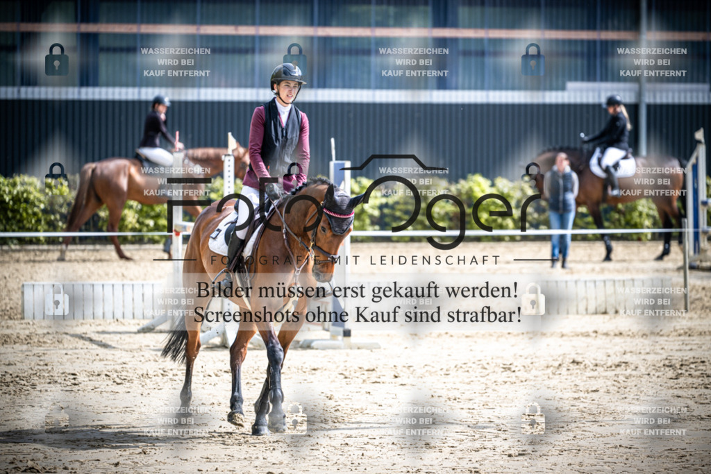 DOS_2118 | Reitturnier Lüdinghausen - Realisiert mit Pictrs.com