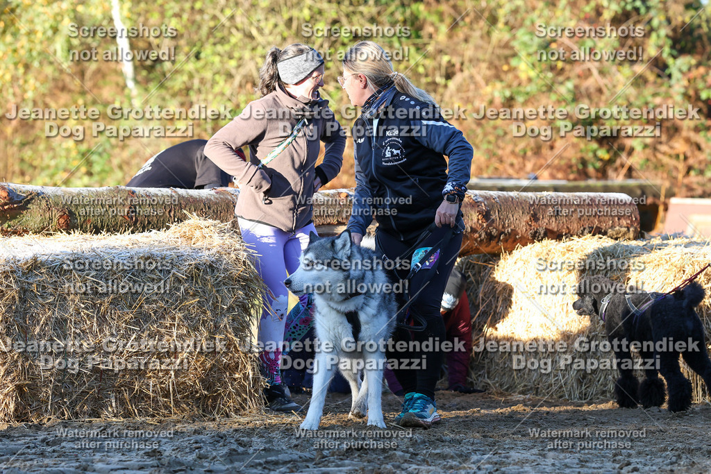 Dog Paparazzi - Strongdog 10-25-752 | Dog Paparazzi Jeanette Grottendiek Fotografie & Videografie - Realisiert mit Pictrs.com