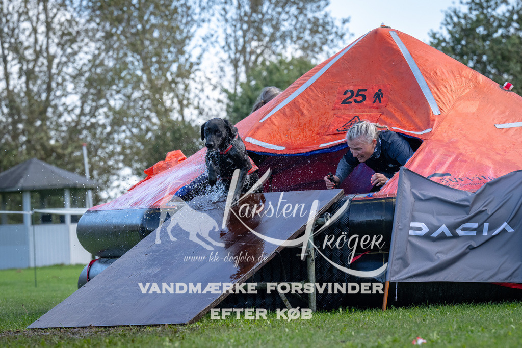 1256-90200 | kk-dogfotos