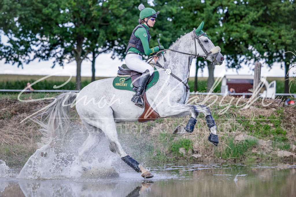 20250906-_3LI6971 | Tierfotografie Pferde, Hunde, Katzen, Haustiere.
Turnierfotografie Reitturniere, Reiten, Springreiten, Dressur in Hanau, dem Main-Kinzig-Kreis und dem Rhein-Main- Gebiet um Frankfurt