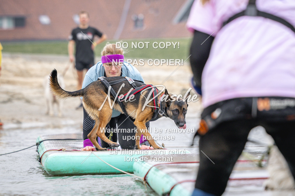 nelerasche_Hulsbeek_Sa1030-1100_239 | nelerasche