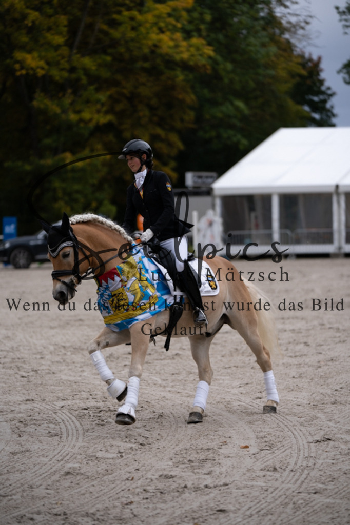 A7V01255 | Turnier/Reitfotograf