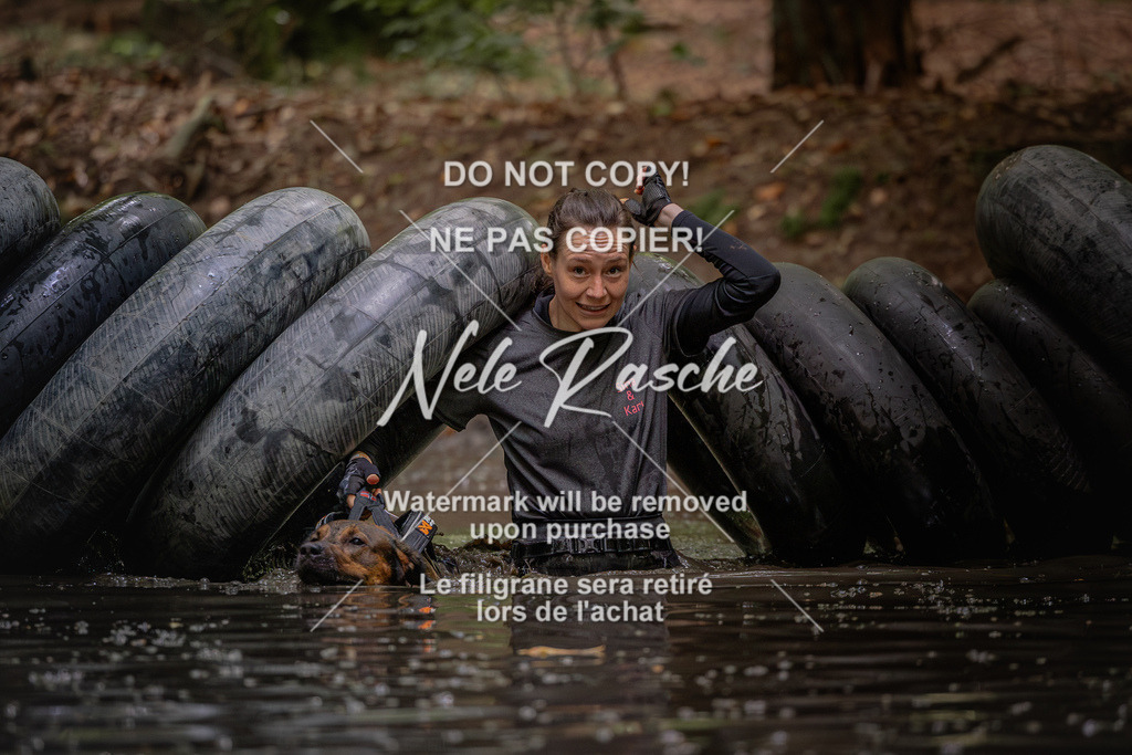 nelerasche_SaWingst1400-1500_248 | nelerasche