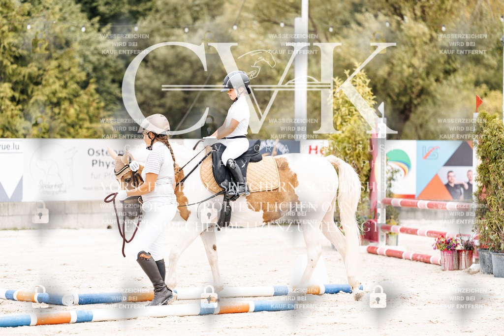 CK907186 | Turnierfotografie Pferdefotografie Trier Rheinland-Pfalz Pferdesport Reitsport Tierfotografie Sportfotografie Pferdevideo Pferdevideografie Equestrianvideography equestrianphotography  - Realisiert mit Pictrs.com