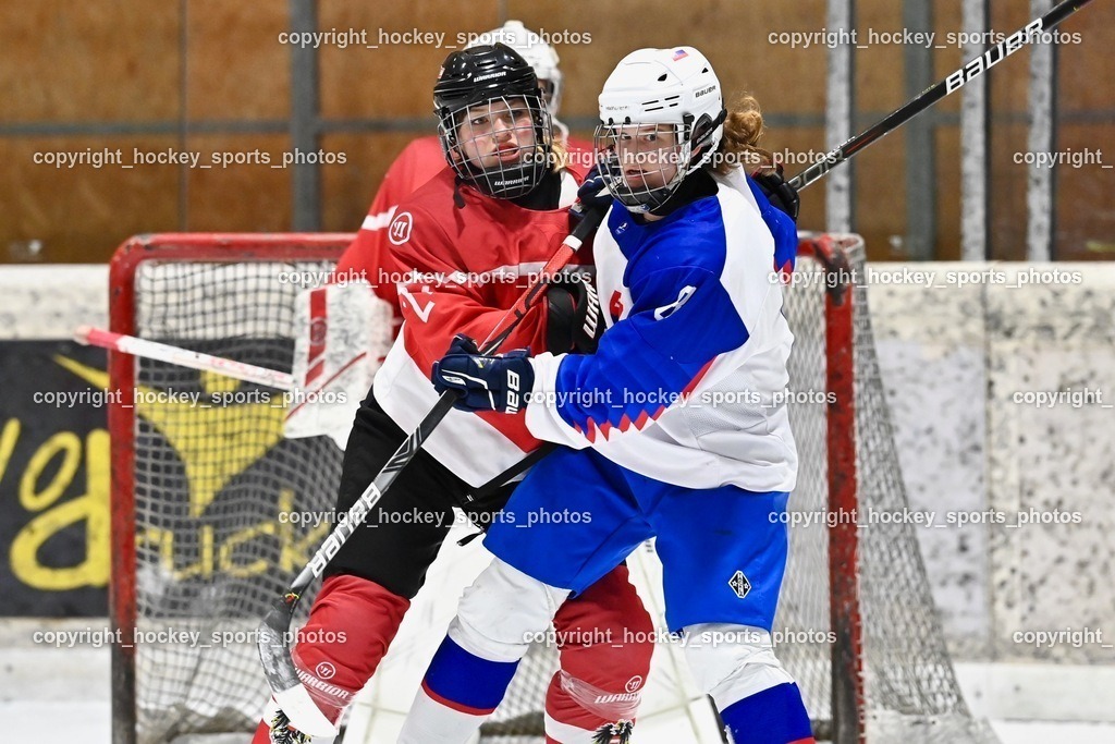 BST_3638 | hockey sports photos, Pressefotos, Sportfotos, hockey247, win 2day icehockeyleague, Handball Austria, Floorball Austria, ÖVV, Kärntner Eishockeyverband, KEHV, KFV, Kärntner Fussballverband, Österreichischer Volleyballverband, Alps Hockey League, ÖFB, 