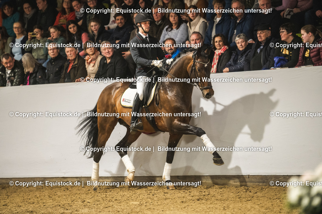 20240302_Hengstvorstellung_Marbach_TOMsPiC_1271 | equistock