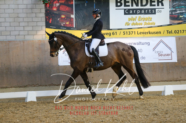 IMG_2719 | Turnierfotos kaufen im Webshop von Daniel Kuhl Photography – entdecke professionelle Reitsportfotos aus Turnieren & Events. Hochwertige Turnierbilder online bestellen & sichern. Jetzt Fotos von Reitsportturnieren kaufen!