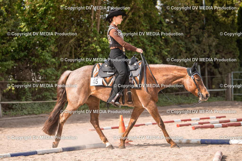 Balingen Tag 5-303 | dv-media-shop - Realisiert mit Pictrs.com