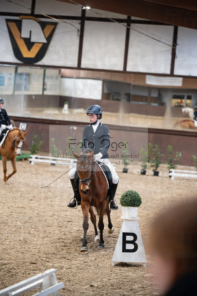 Hallenreittunier Voxtrup 2023 | Entdecke hochwertige Reitturnierfotos von Foto Oger. Professionell, emotional und authentisch – jetzt Lieblingsmomente im Shop bestellen.Deutschlandweite Turnierfotografie. - Realisiert mit Pictrs.com