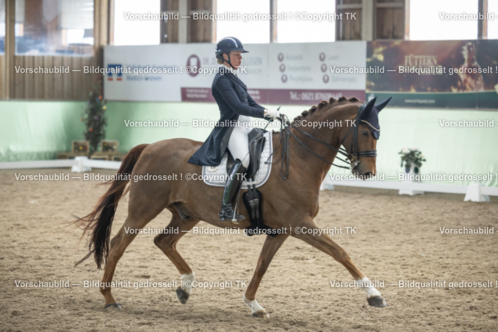 _D5A6122 | Emotionale Pferde- & People-Fotografie rund um Heidelberg, Leimen & Umgebung. Natürliche Fotos von Pferd, Mensch & Familie. Jetzt Termin sichern!