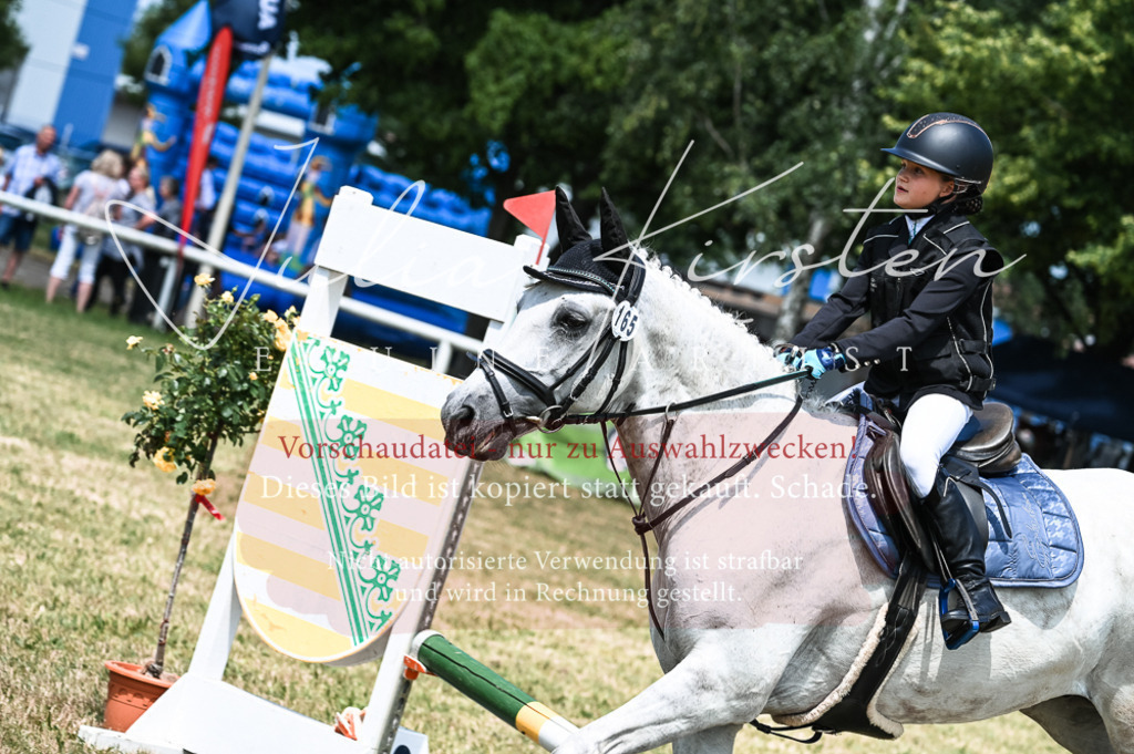 DSC_9822 | Pferde- und Turnierfotografie in Westsachsen. Pferdeportraits, Auftragszeichnungen und intuitive Kunst.