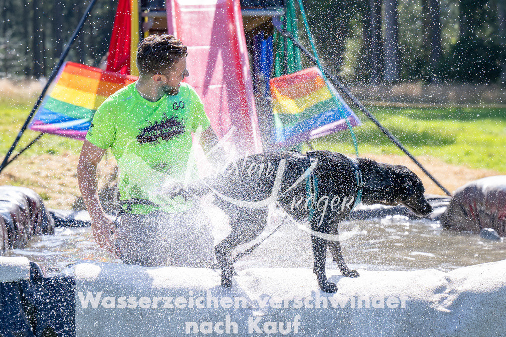 1405_ZZ93217 | kk-dogfotos
