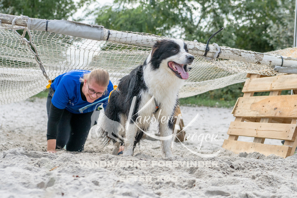 1219_ZZ90907 | kk-dogfotos