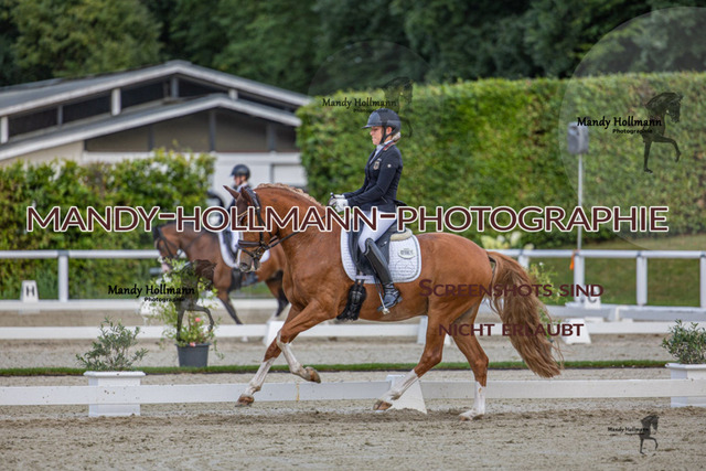 DRE L 6j (832 von 969) | mandyhollmannphotographie