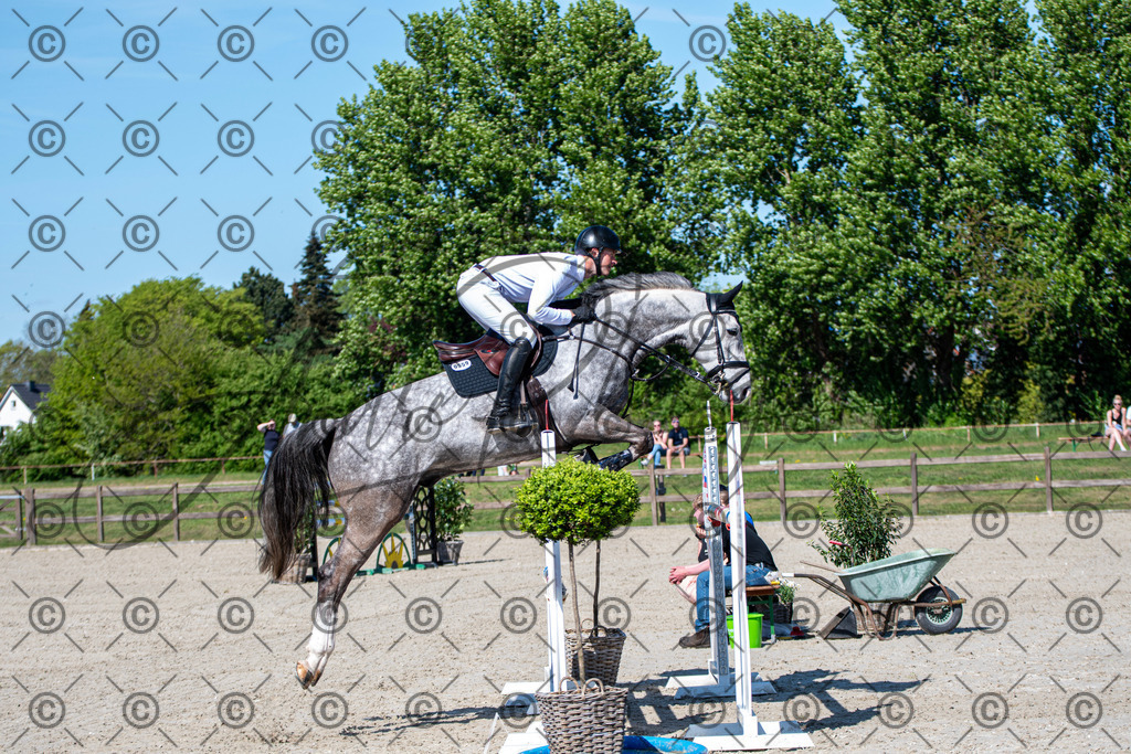 KPT_1493 | andre_photographic