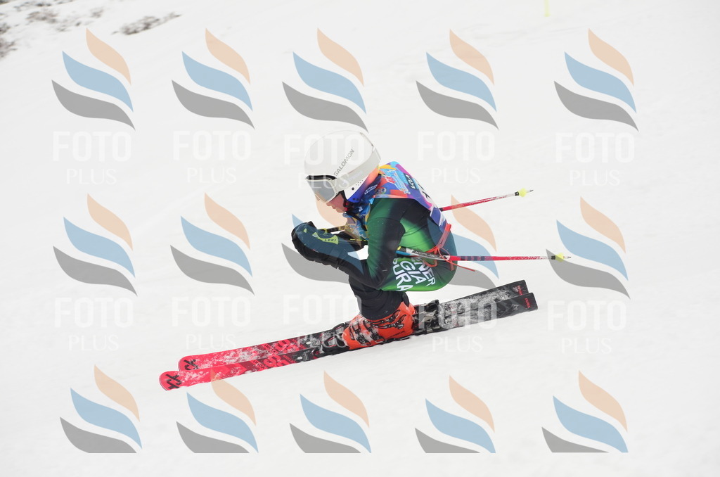 C1538 | holidayphoto