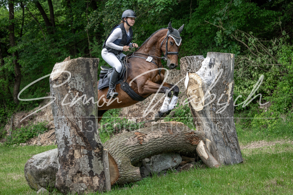 20260523-_3LI9660 | Tierfotografie Pferde, Hunde, Katzen, Haustiere.
Turnierfotografie Reitturniere, Reiten, Springreiten, Dressur in Hanau, dem Main-Kinzig-Kreis und dem Rhein-Main- Gebiet um Frankfurt