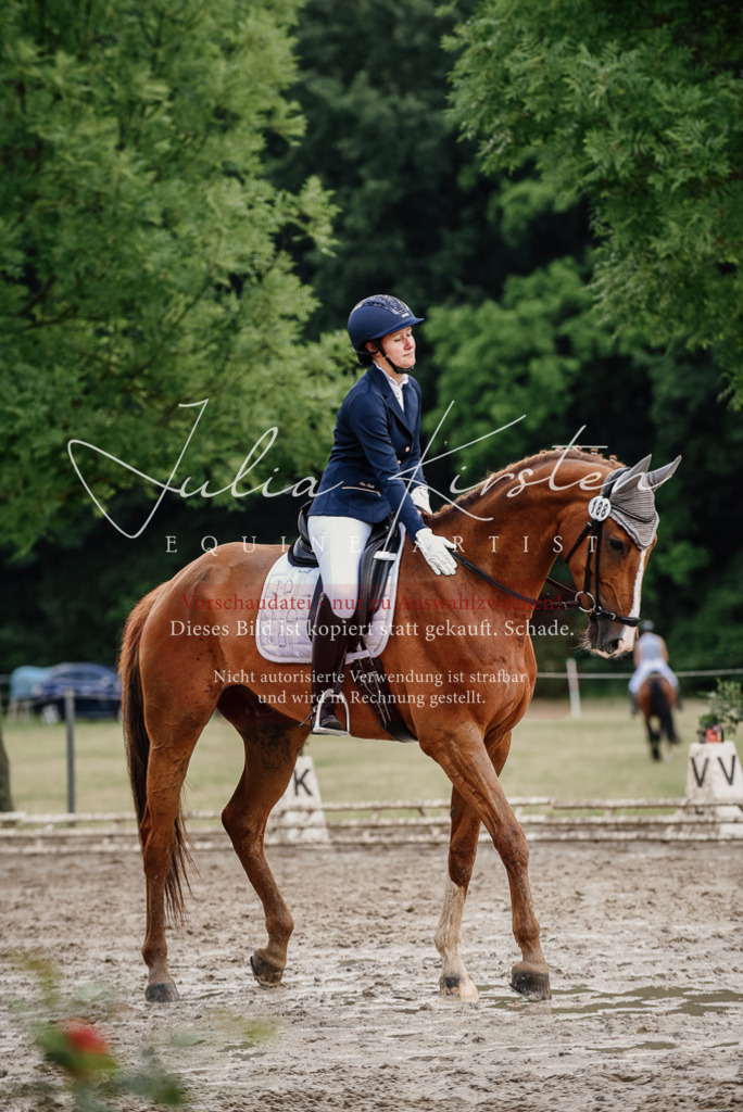 DSC_9959 | Pferde- und Turnierfotografie in Westsachsen. Pferdeportraits, Auftragszeichnungen und intuitive Kunst.