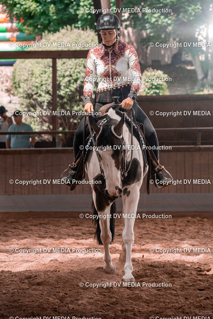 NE100578 | dv-media-shop - Realisiert mit Pictrs.com