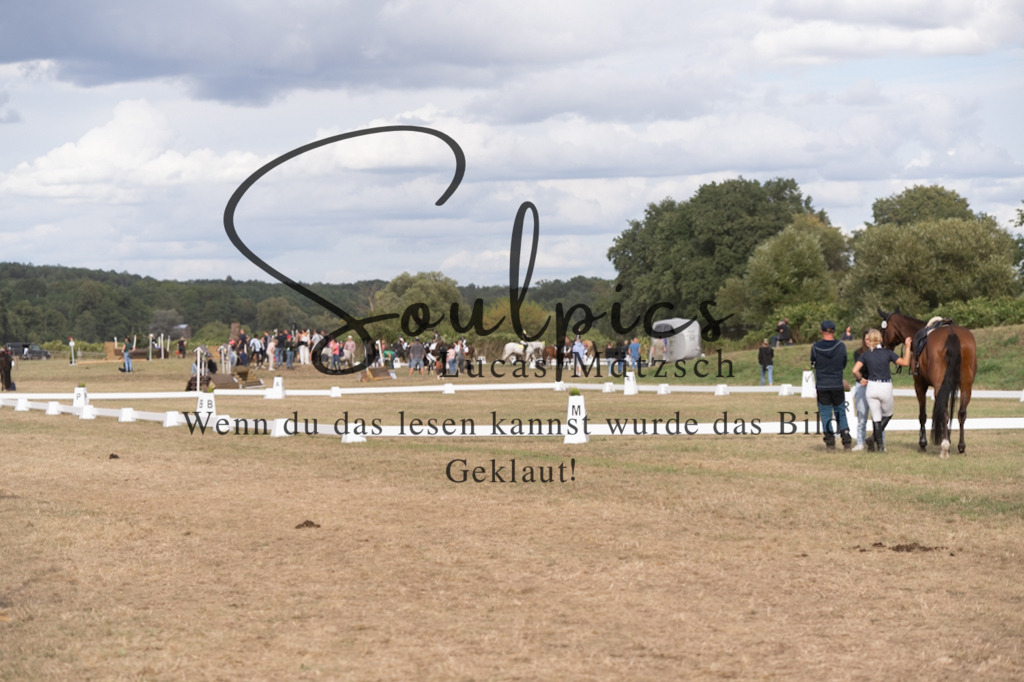 A7V09545 | Pferdefotograf