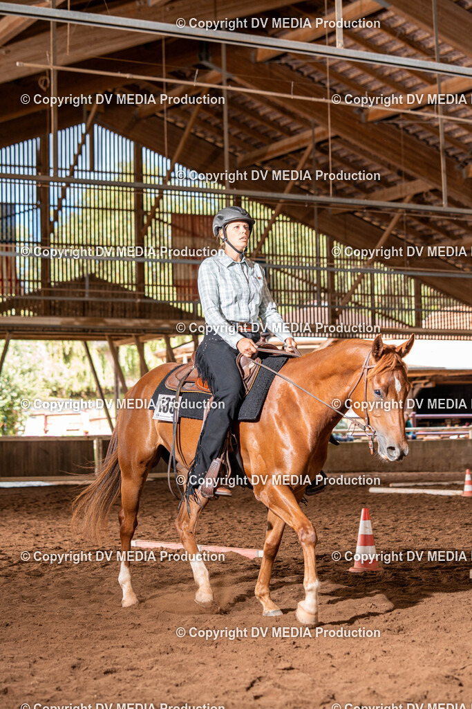 Erbach Tag 2-259 | dv-media-shop - Realisiert mit Pictrs.com