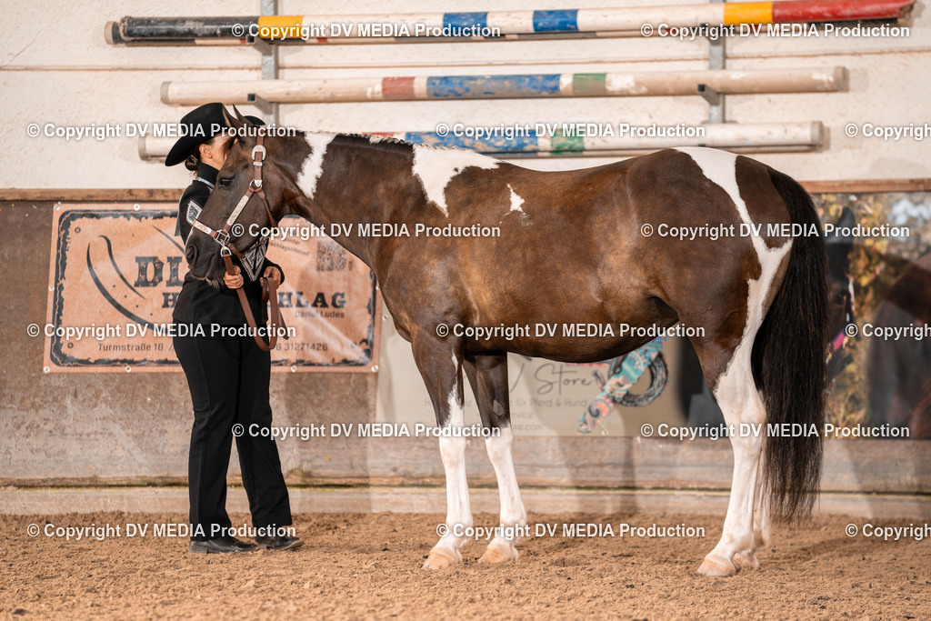 LM Heiligenwald Tag 1-14 | dv-media-shop - Realisiert mit Pictrs.com