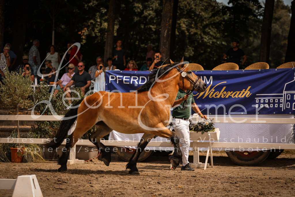 2.Sa00079 | Leoni Ertmer Photography - Realisiert mit Pictrs.com