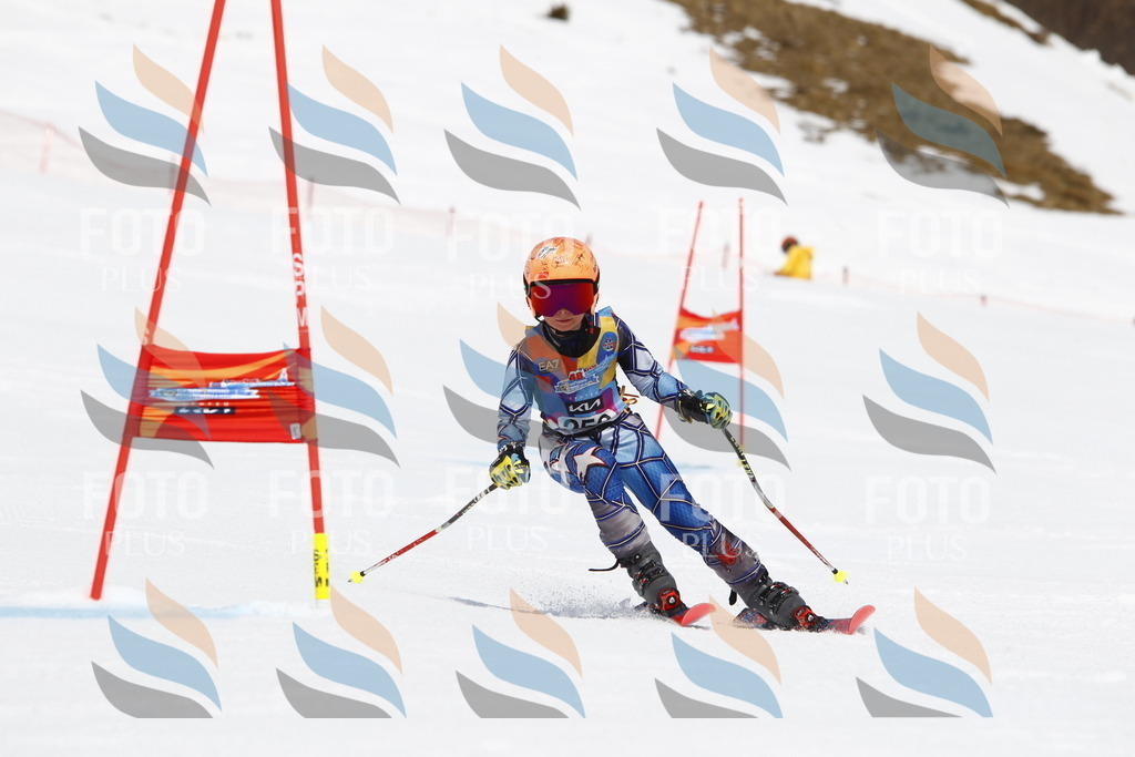 _U3G6366 | holidayphoto