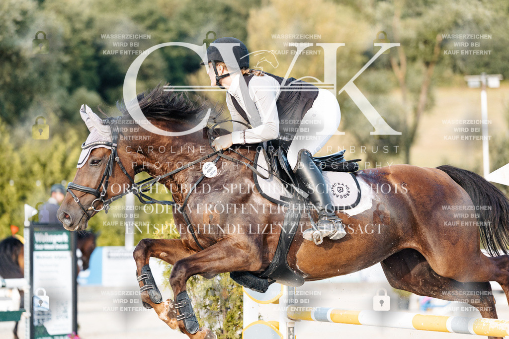 CK900843 | Turnierfotografie Pferdefotografie Trier Rheinland-Pfalz Pferdesport Reitsport Tierfotografie Sportfotografie Pferdevideo Pferdevideografie Equestrianvideography equestrianphotography  - Realisiert mit Pictrs.com