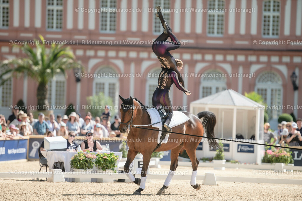 20230528_Voltigieren_NASPA_0236 | equistock