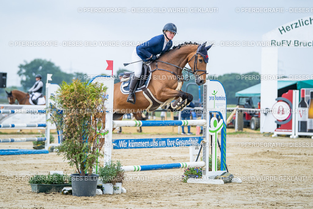 DSC01848 | Pferdegrafie