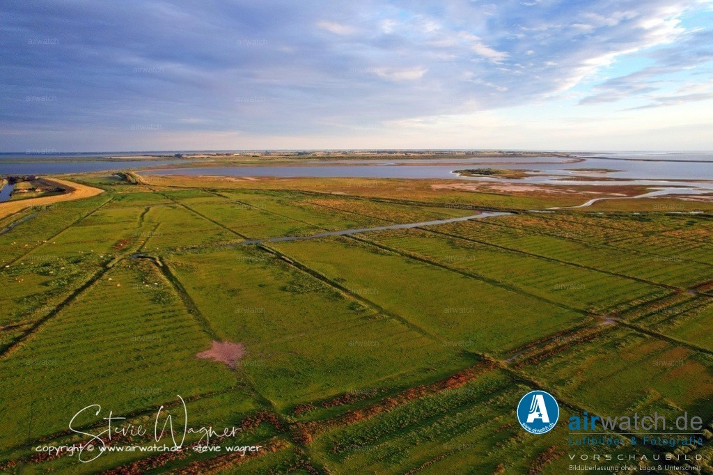 HattstedterKoog  & BeltringharderKoog | In seinem Auftrag und unter vertraglich stark regulierten Bedingungen haben Freie und Pachtbauern die Eindeichung durchgeführt. Einzelheiten dazu sind nicht überliefert, lediglich urkundliche Akten über spätere Landverkäufe im besagten Koog lassen Schlüsse für eine Fertigstellung spätestens im Jahr 1500 zu.