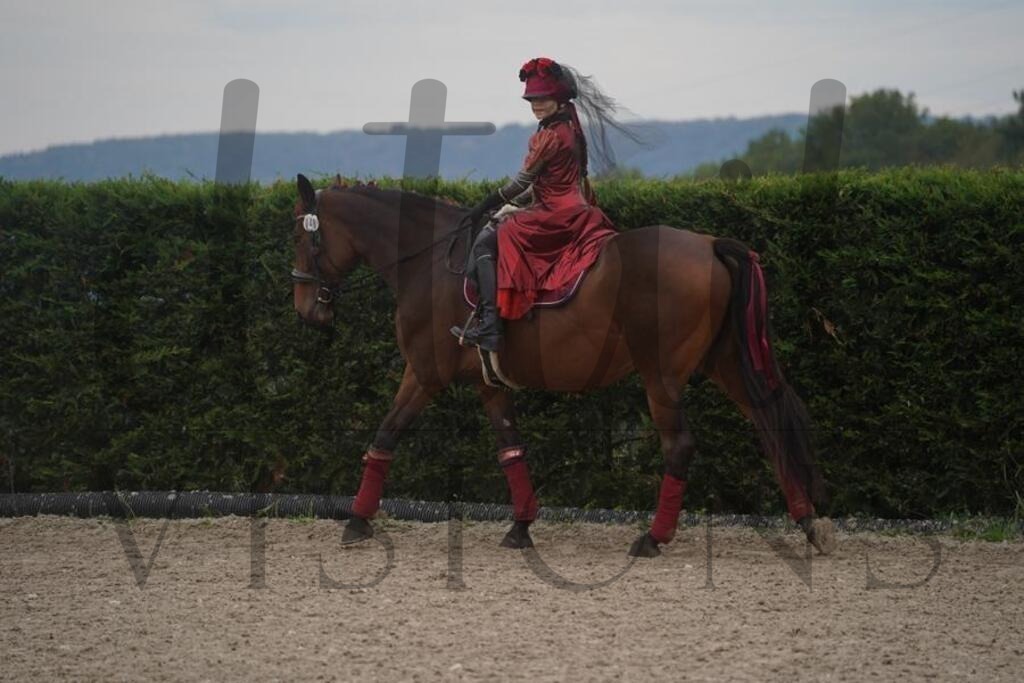 pfmagarethenhof (1059) | d.tail Visions - Shop - Realisiert mit Pictrs.com