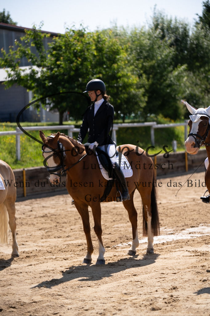 A7V07907 | Turnier/Reitfotograf