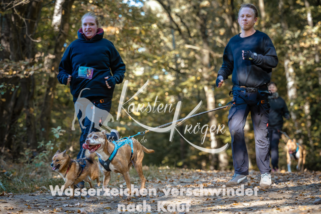 1122_ZZ92202 | kk-dogfotos