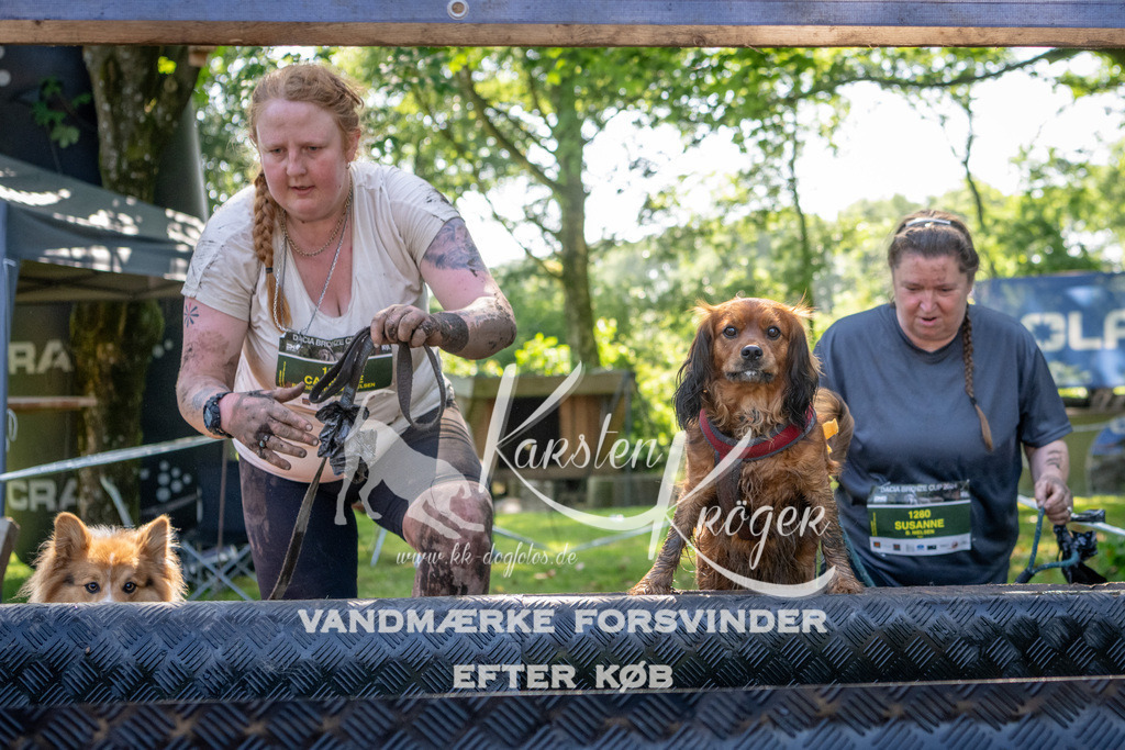 1523_ZZ91039 | kk-dogfotos