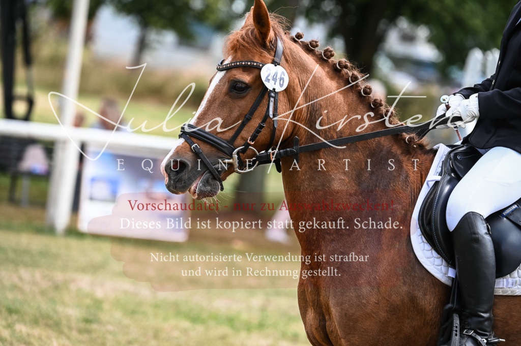 DSC_8566 | Pferde- und Turnierfotografie in Westsachsen. Pferdeportraits, Auftragszeichnungen und intuitive Kunst.