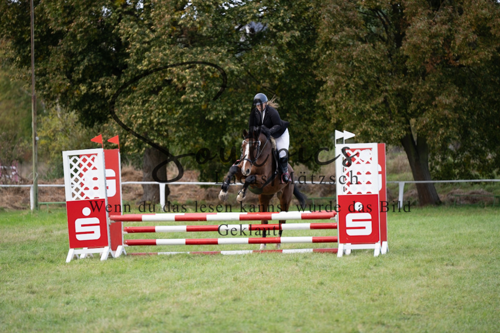 A7V06441 | Pferdefotograf